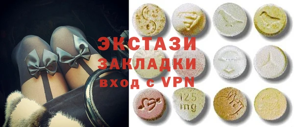 ECSTASY Богданович