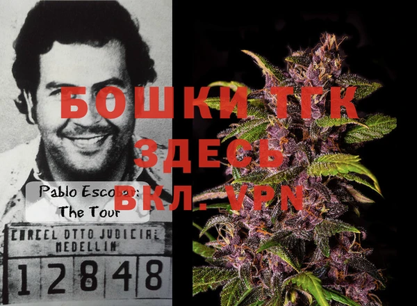 ECSTASY Богданович