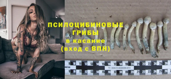 MESCALINE Богородицк